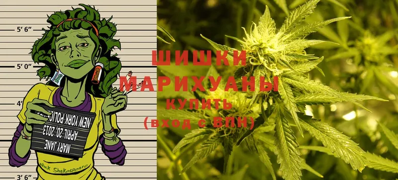 это как зайти  купить   Слюдянка  Шишки марихуана THC 21% 